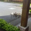 20150505_114545.jpg